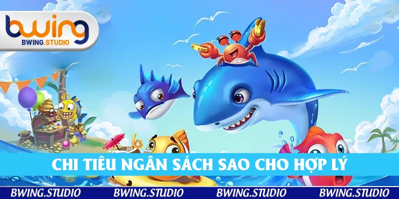 Chi tiêu ngân sách sao cho hợp lý