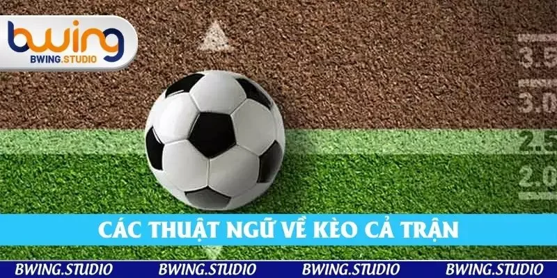 Các thuật ngữ về kèo liên quan đến cược cả trận 