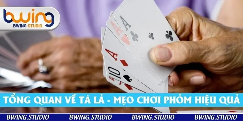 Tổng quan về Tá lả Tổng quan về Tá lả